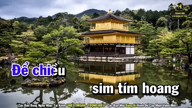 Chuyện Hoa Sim Karaoke Tone Nam