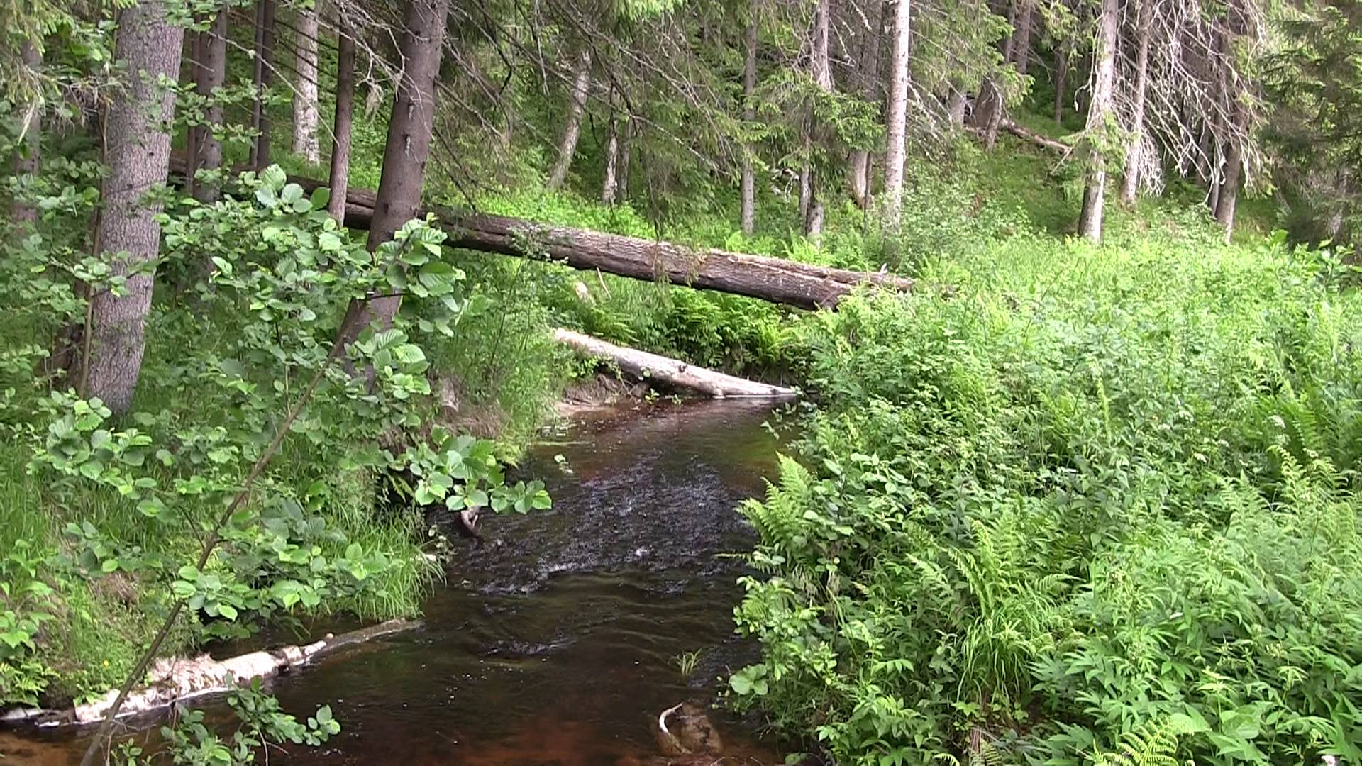 Долина водопадов близ Лумиавара