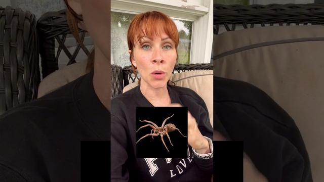 #animal #shortvideos #youtube #trending #viralvideos #pangeareptile #pet #shortsviral #viral