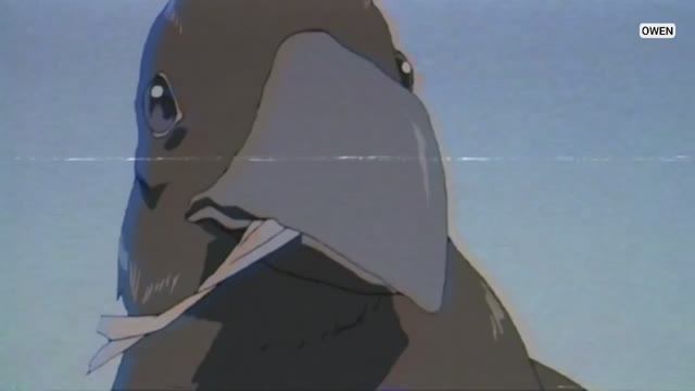Experiments Lain (Эксперементы Лейн)
#shorts
