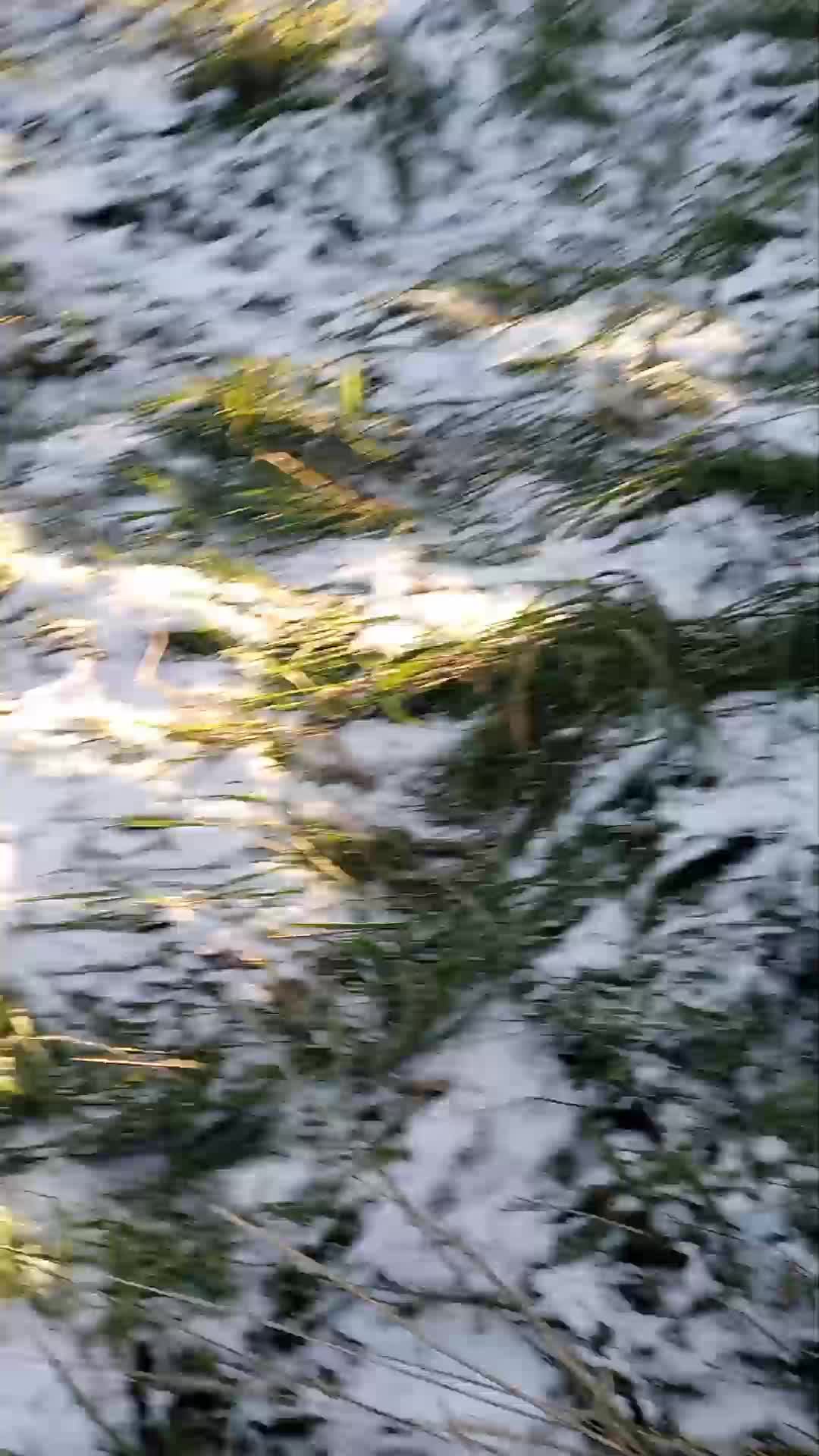 нет