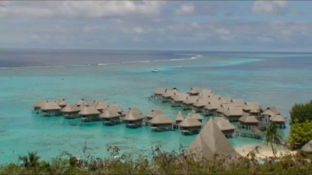 Best of diving French polynesia