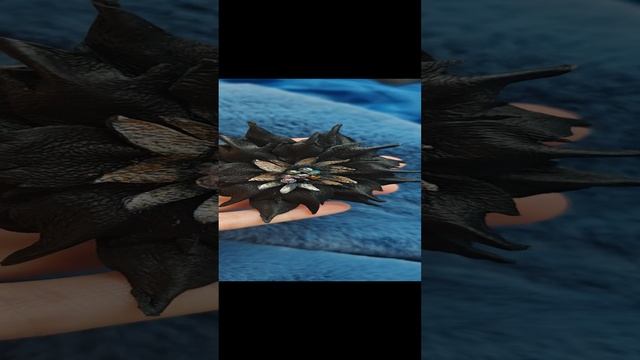 1000010550.mp4