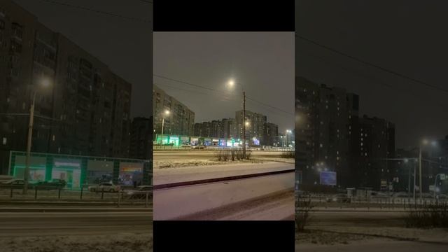 Петербург покрыло снегом 🥰