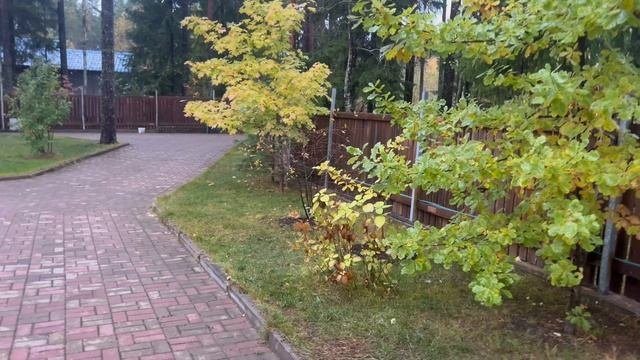 Карельский огород