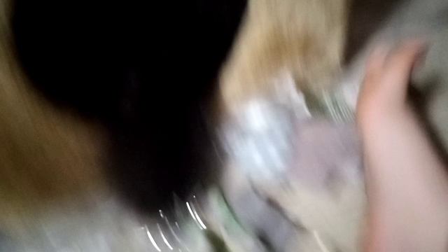 Подружка Сима 🐈