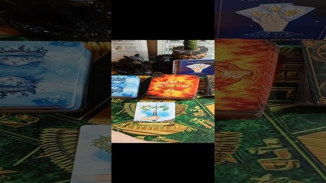 1000024361.mp4
