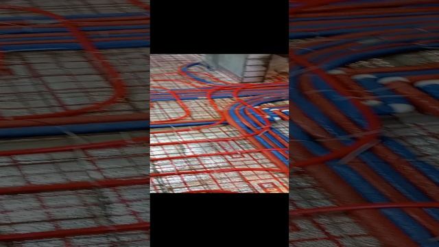 1000006973.mp4
