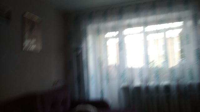 VID_20241214_141831.mp4