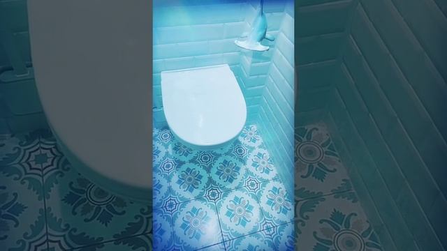 Чудо туалет