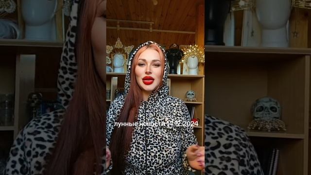 Лунные новости 14.12.2024