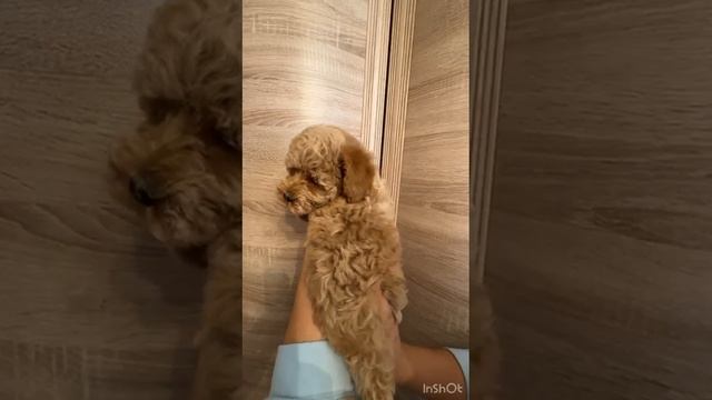 1000004105.mp4