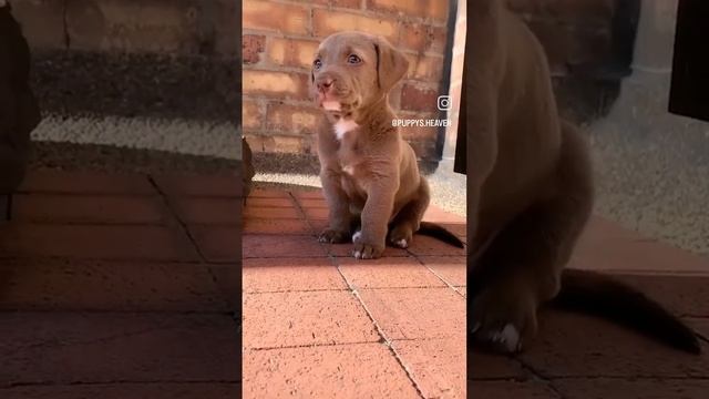 1000079648.mp4