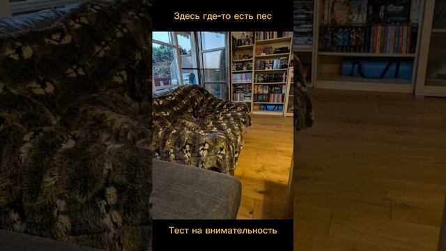 Тест на внимательность