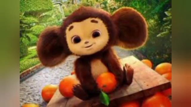 обединение хабиба и чебурашки❤❤❤❤