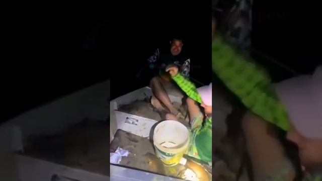 Встреча с электрическим угрём...