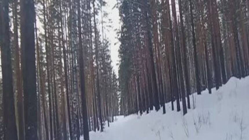 Влог, сходил на гору камушек (18+)ОПАСНО