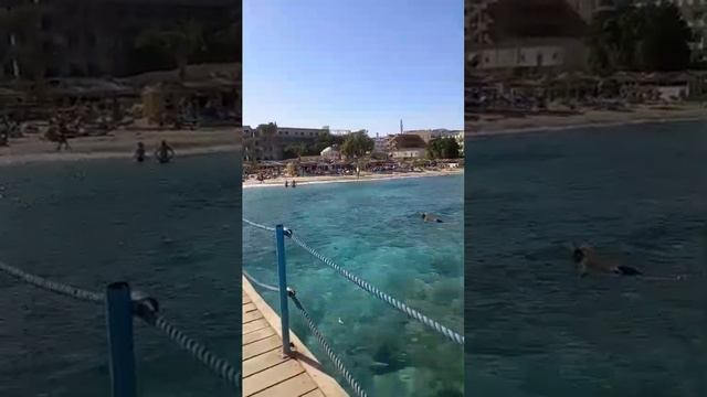 Ануза  🎥  снимает, пляж  🏖️ Марина, кристально чистая вода 💦 египтяни и хорошее настроение 😀