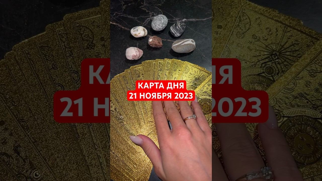 КАРТА ДНЯ 21 НОЯБРЯ 2023 #ноябрь2023 #таро #гадание #таролог #гороскоп #астрология #картадня