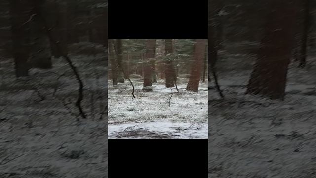 Как в сказке.mp4
