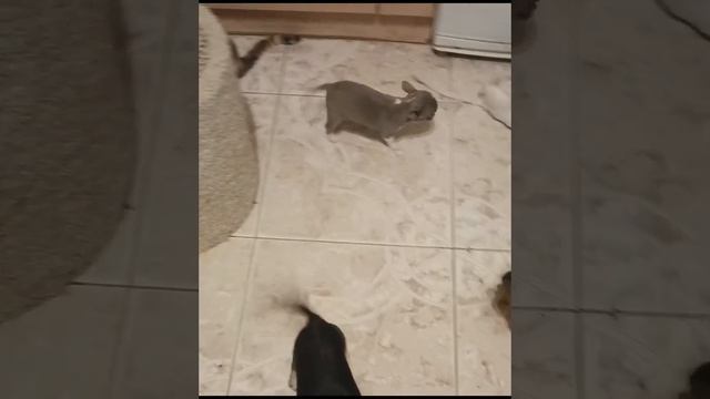 1000012400.mp4