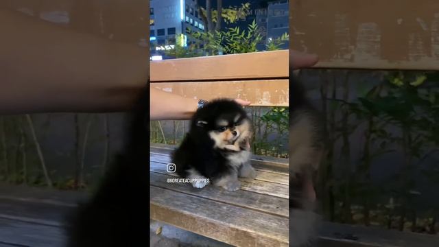 1000079852.mp4