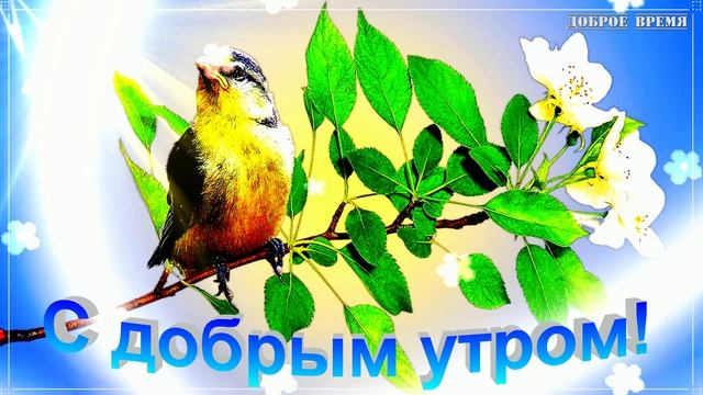 С ДОБРЫМ УТРОМ!! _ КРАСИВЫЕ ПЕСНИ ОБО ВСЁМ