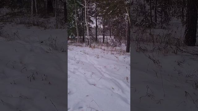 Зима!...