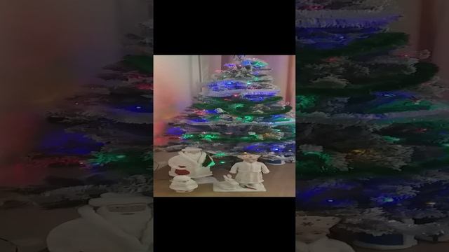 20241214_140249.mp4