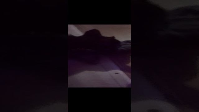 бедный басие
