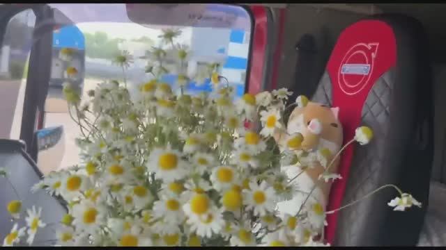 Рабочие будни дальнобойщицы)) Уроки парковки от Володи #женщинадальнобойщик
