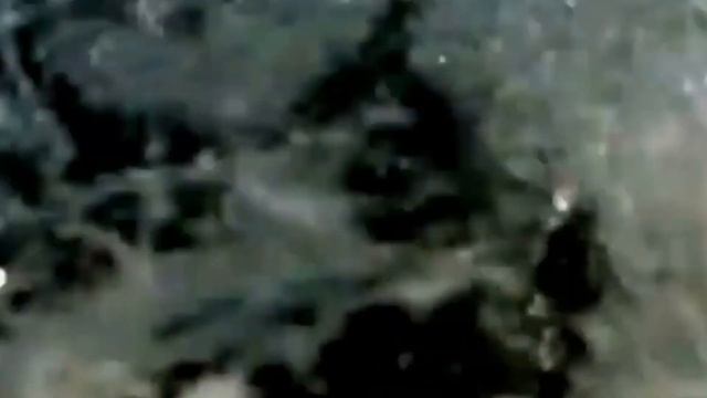 А вы знаете насколько Пираньи опасны для человека?