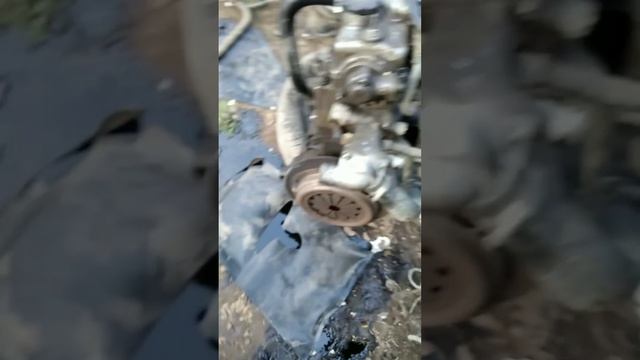 сцепление на автомобиле