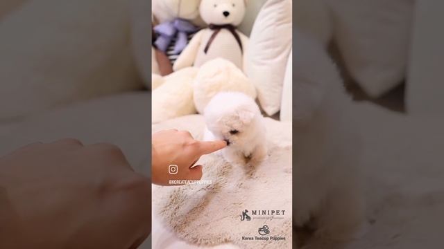 1000079850.mp4