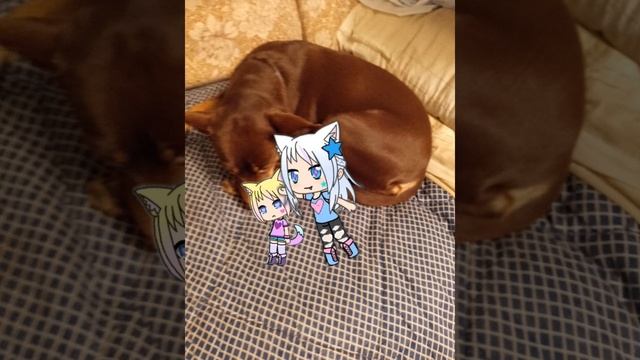 Поссорились и помирились 💖
