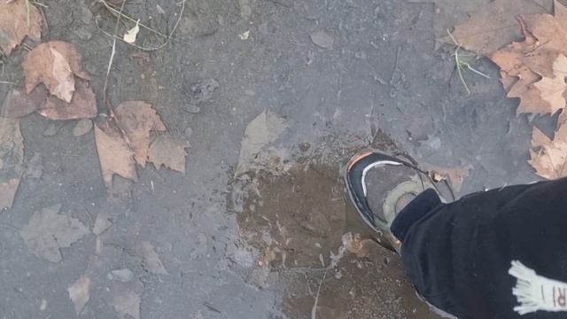 В Сочи лёд