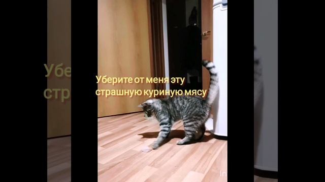 Симона и мяско