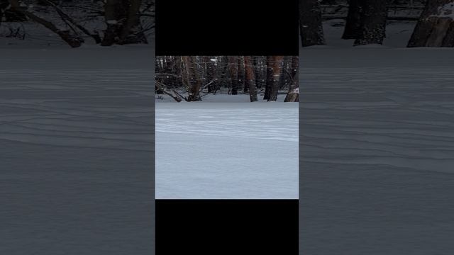 Прекрасное время года ☃️