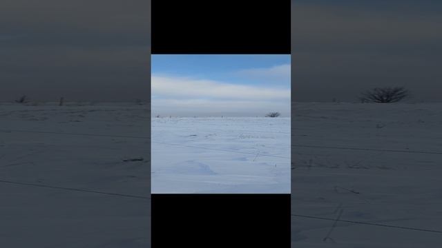 Проверка линии передачи импульсов электропастуха