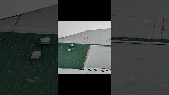 1000107156.mp4