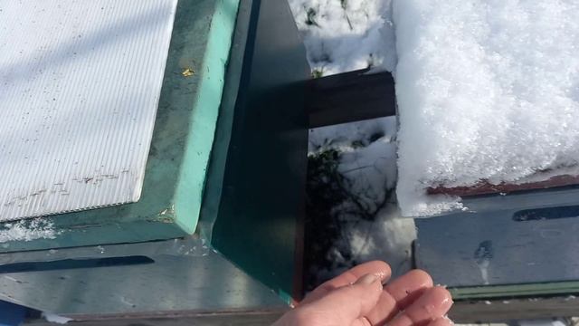 Пришла зима