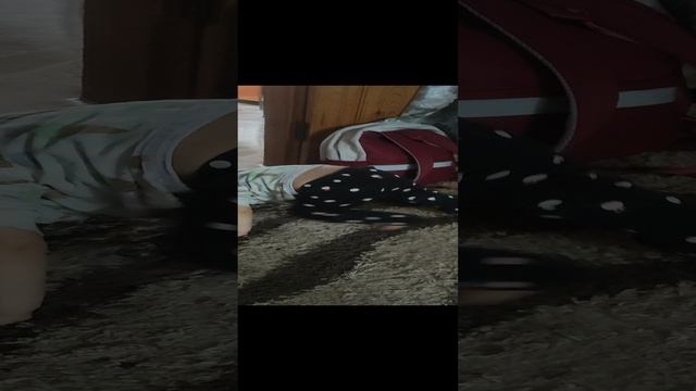 VID_20241115_154505.mp4