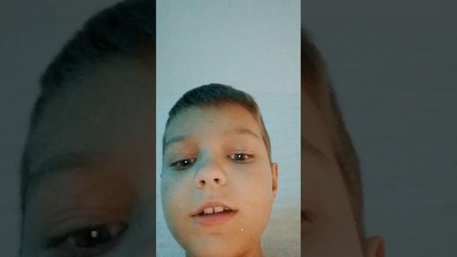 scene_output.mp4