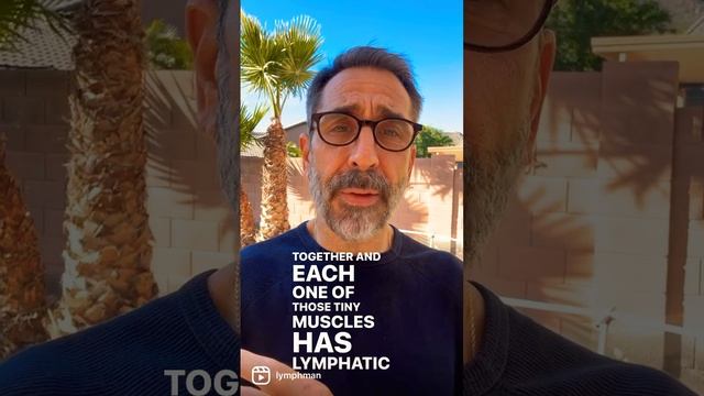 Help Stiff Person Syndrome With The Lymphatic System