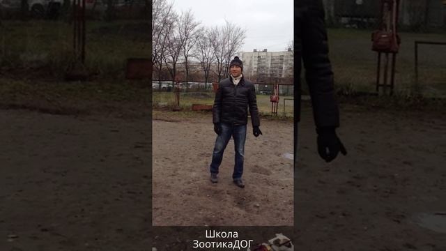 Сергей Черников Об условных рефлексах