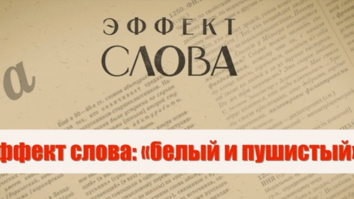 "Эффект слова" (Вып. 46 Белый и пушистый)_авторская программа Г.Г. Слышкина (Русский мир)