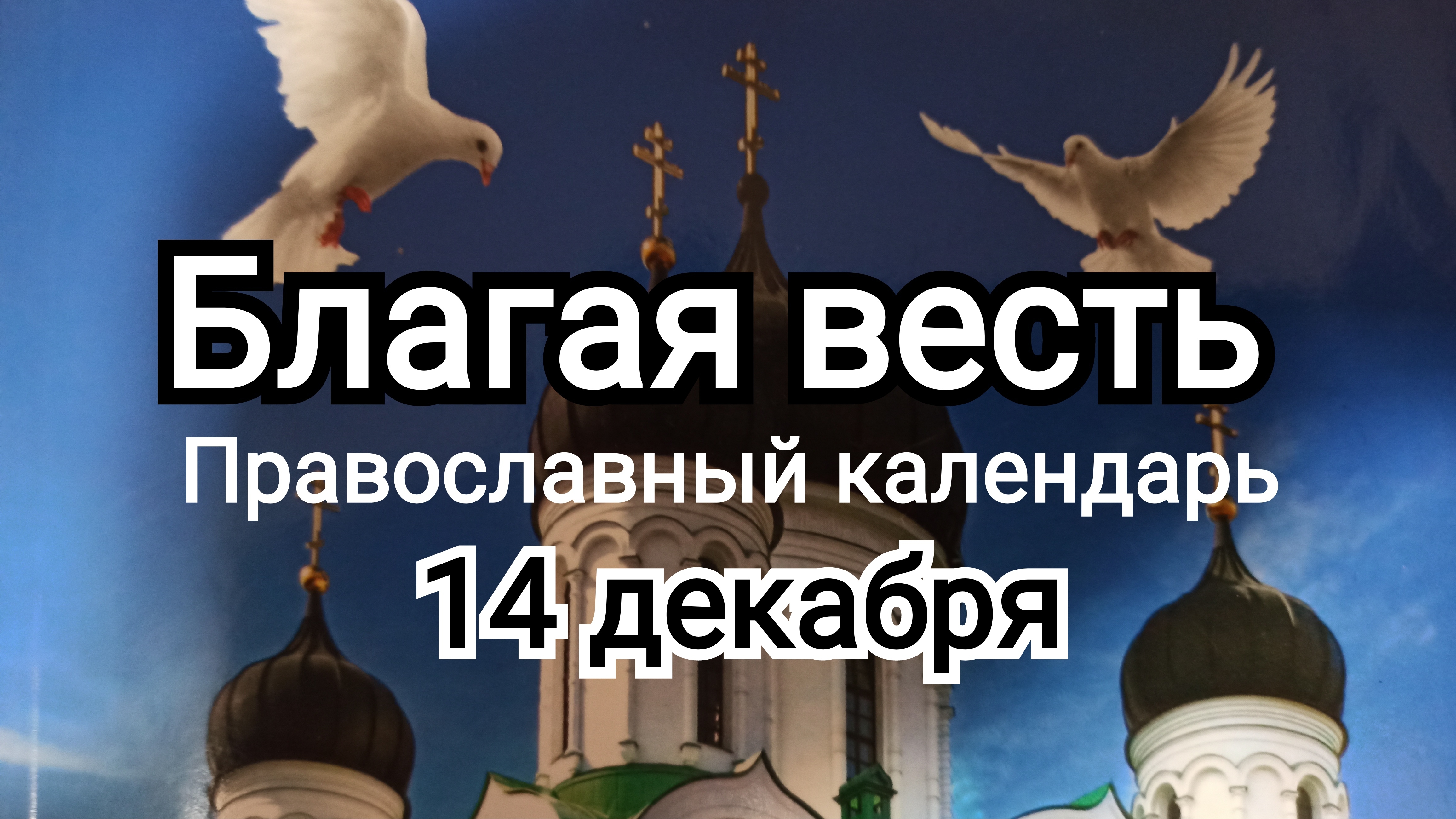 ⭕ВЕЛИКИЙ ПОСТ 14 декабря | ХАЛКОЛИВАН - суд на церковью | ИгорьКОСТРОВОЙ