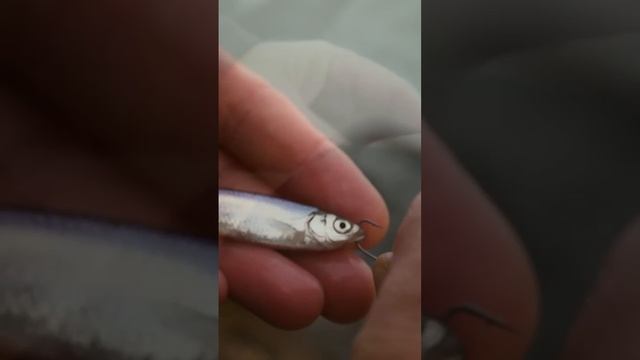 1000023834.mp4