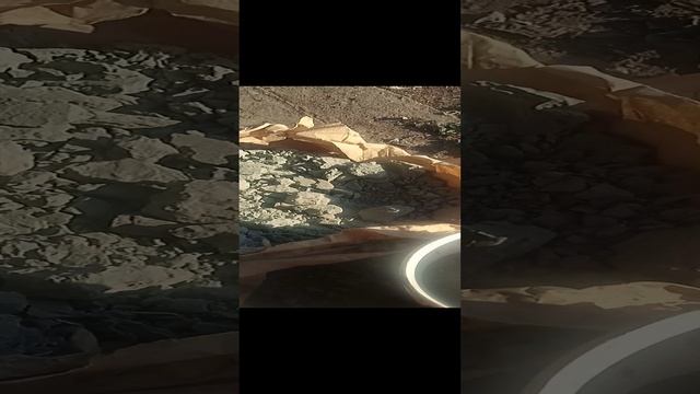 ПРОПАВШИЙ ЦЕМЕНТ  ДЛЯ ТРОТУАРНОЙ ПЛИТКИ