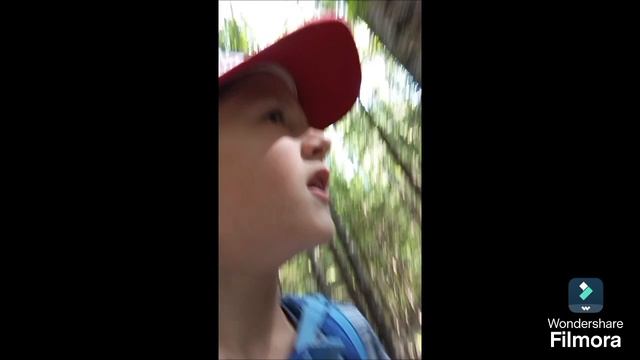Идëм всей семьëй на карьер.